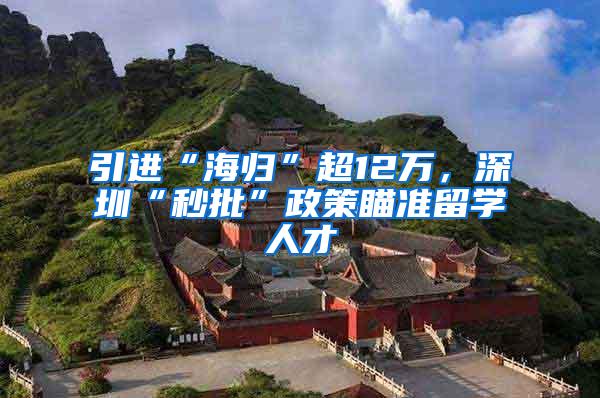引进“海归”超12万，深圳“秒批”政策瞄准留学人才