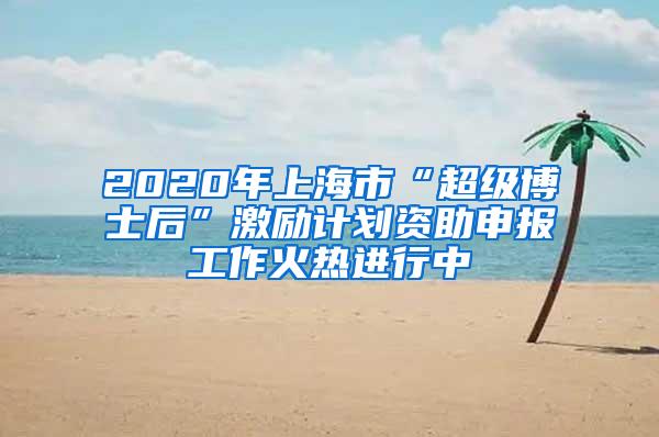 2020年上海市“超级博士后”激励计划资助申报工作火热进行中
