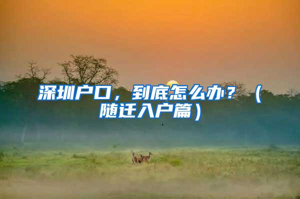 深圳户口，到底怎么办？（随迁入户篇）