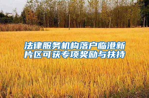 法律服务机构落户临港新片区可获专项奖励与扶持