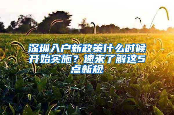 深圳入户新政策什么时候开始实施？速来了解这5点新规