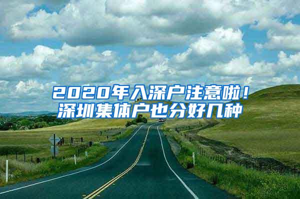 2020年入深户注意啦！深圳集体户也分好几种
