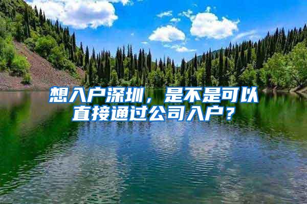 想入户深圳，是不是可以直接通过公司入户？