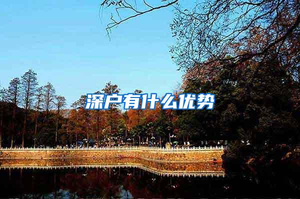 深户有什么优势