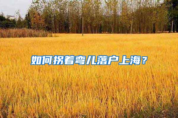 如何拐着弯儿落户上海？