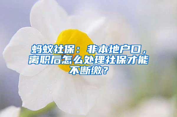 蚂蚁社保：非本地户口，离职后怎么处理社保才能不断缴？