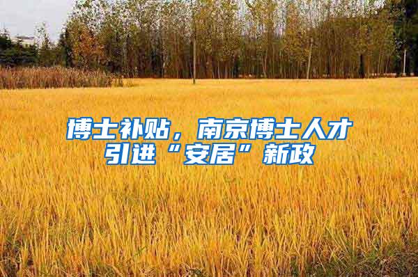 博士补贴，南京博士人才引进“安居”新政