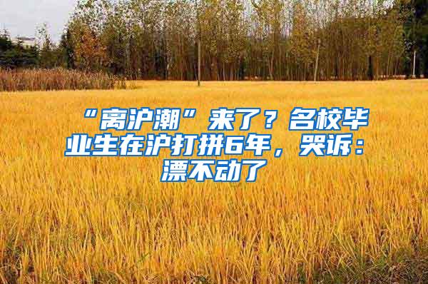 “离沪潮”来了？名校毕业生在沪打拼6年，哭诉：漂不动了