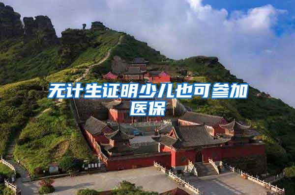 无计生证明少儿也可参加医保