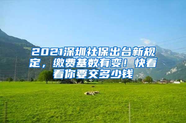 2021深圳社保出台新规定，缴费基数有变！快看看你要交多少钱