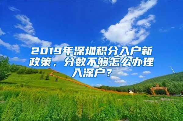 2019年深圳积分入户新政策，分数不够怎么办理入深户？