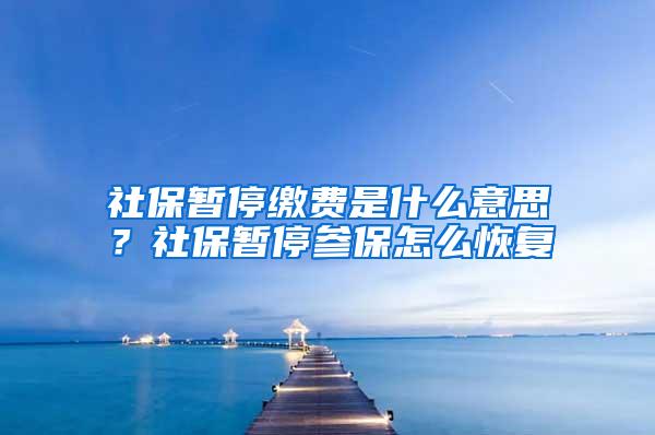 社保暂停缴费是什么意思？社保暂停参保怎么恢复