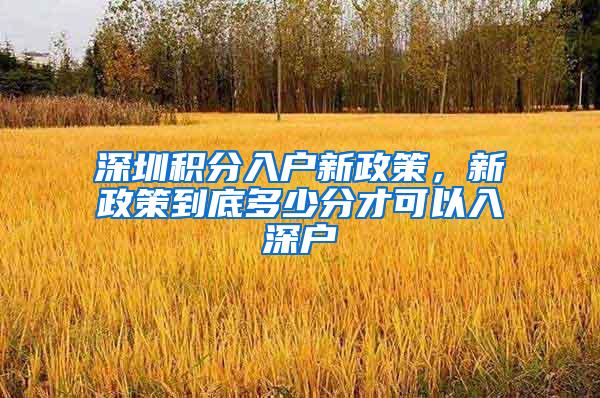 深圳积分入户新政策，新政策到底多少分才可以入深户