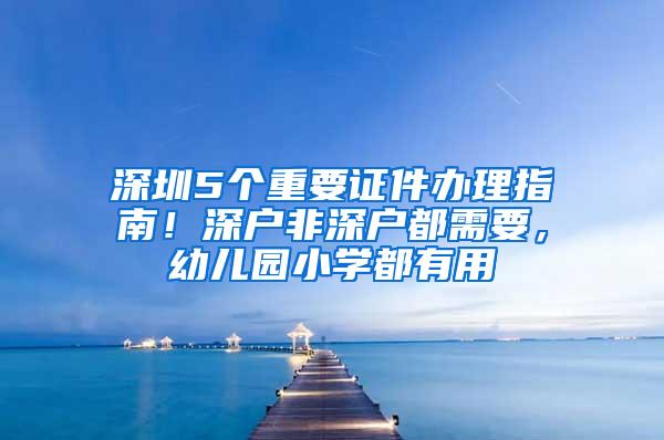 深圳5个重要证件办理指南！深户非深户都需要，幼儿园小学都有用