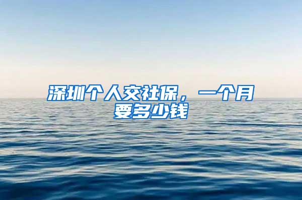 深圳个人交社保，一个月要多少钱