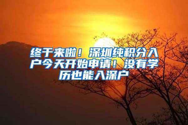 终于来啦！深圳纯积分入户今天开始申请！没有学历也能入深户