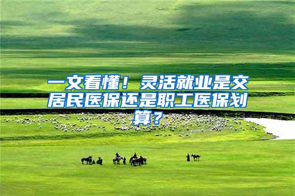 一文看懂！灵活就业是交居民医保还是职工医保划算？