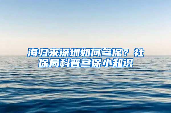 海归来深圳如何参保？社保局科普参保小知识