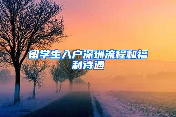 留学生入户深圳流程和福利待遇