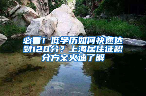 必看！低学历如何快速达到120分？上海居住证积分方案火速了解