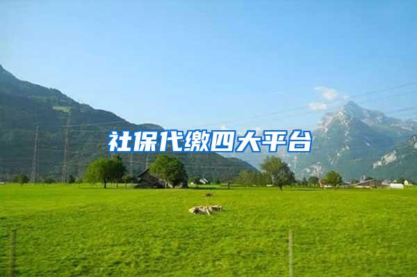 社保代缴四大平台