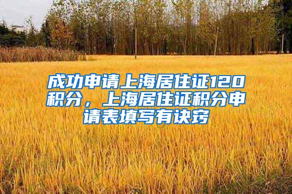 成功申请上海居住证120积分，上海居住证积分申请表填写有诀窍