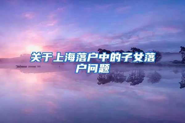关于上海落户中的子女落户问题