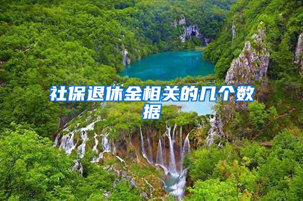 社保退休金相关的几个数据