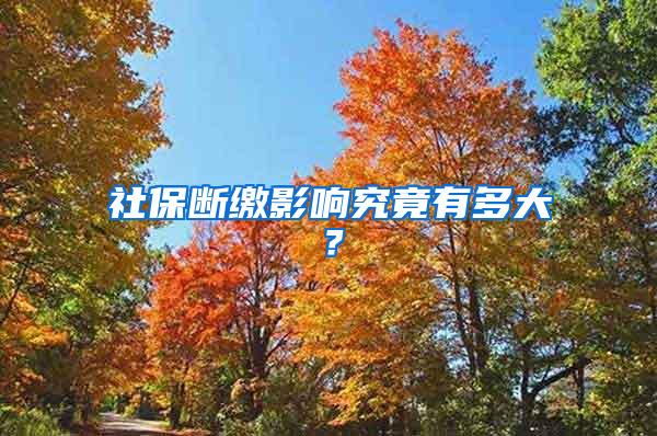 社保断缴影响究竟有多大？