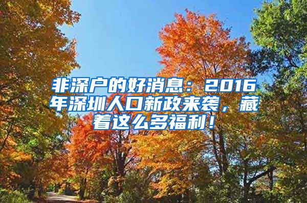 非深户的好消息：2016年深圳人口新政来袭，藏着这么多福利！