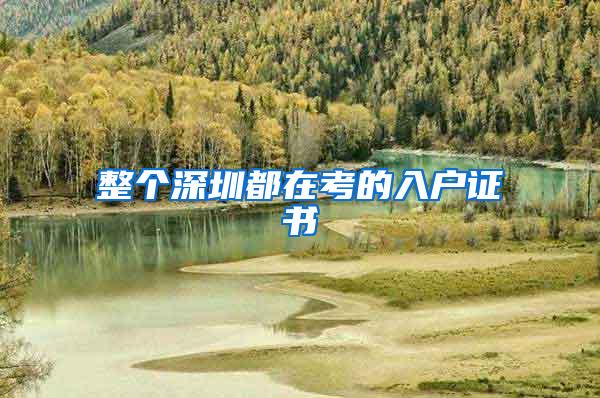 整个深圳都在考的入户证书