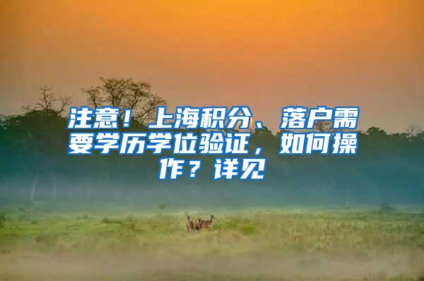 注意！上海积分、落户需要学历学位验证，如何操作？详见→