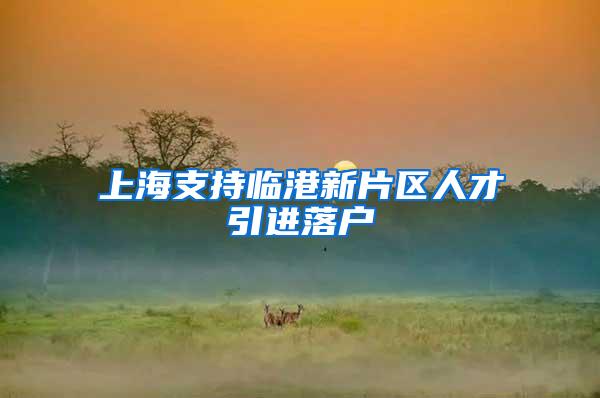 上海支持临港新片区人才引进落户