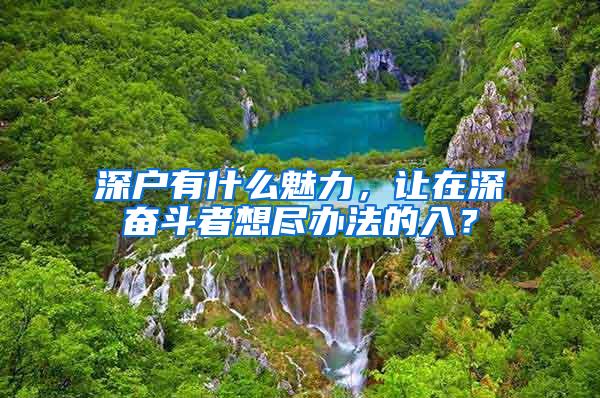 深户有什么魅力，让在深奋斗者想尽办法的入？