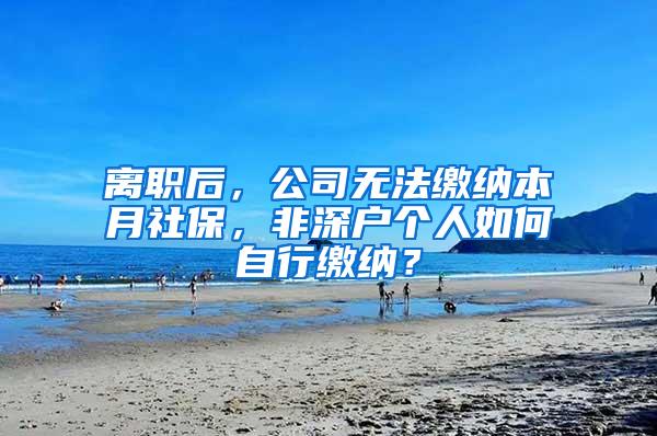 离职后，公司无法缴纳本月社保，非深户个人如何自行缴纳？