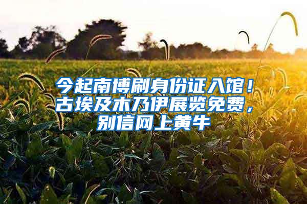 今起南博刷身份证入馆！古埃及木乃伊展览免费，别信网上黄牛