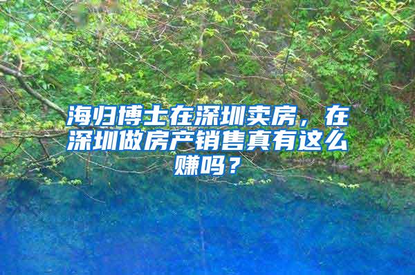 海归博士在深圳卖房，在深圳做房产销售真有这么赚吗？
