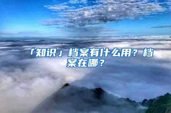 「知识」档案有什么用？档案在哪？
