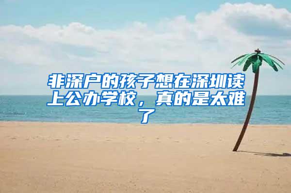 非深户的孩子想在深圳读上公办学校，真的是太难了