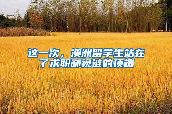 这一次，澳洲留学生站在了求职鄙视链的顶端