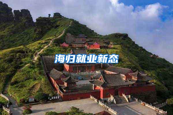 海归就业新态