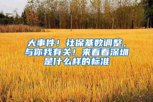 大事件！社保基数调整，与你我有关！来看看深圳是什么样的标准