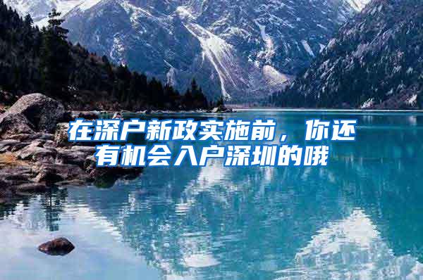 在深户新政实施前，你还有机会入户深圳的哦