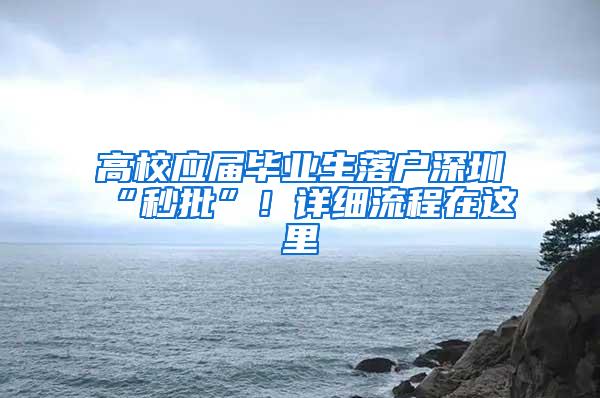高校应届毕业生落户深圳“秒批”！详细流程在这里