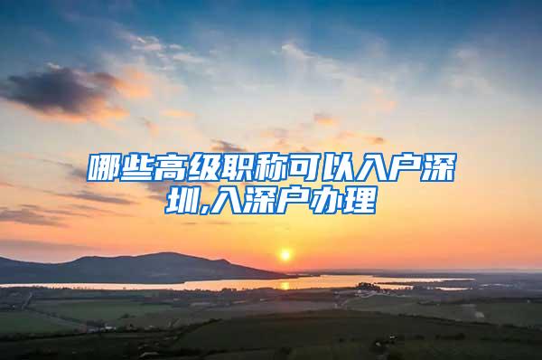 哪些高级职称可以入户深圳,入深户办理