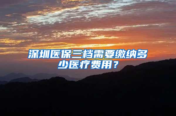 深圳医保三档需要缴纳多少医疗费用？
