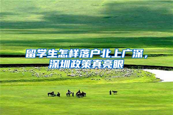 留学生怎样落户北上广深，深圳政策真亮眼