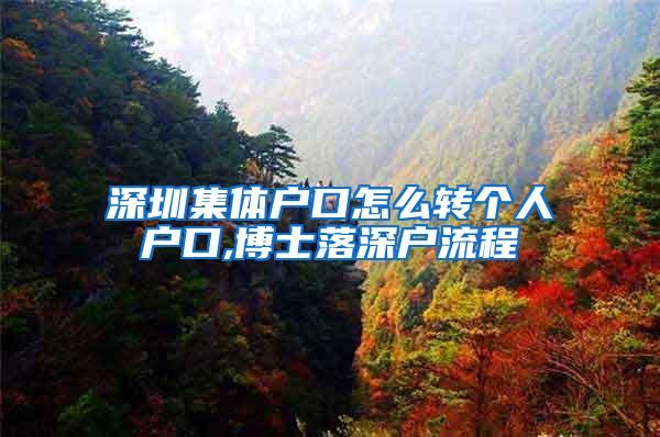 深圳集体户口怎么转个人户口,博士落深户流程