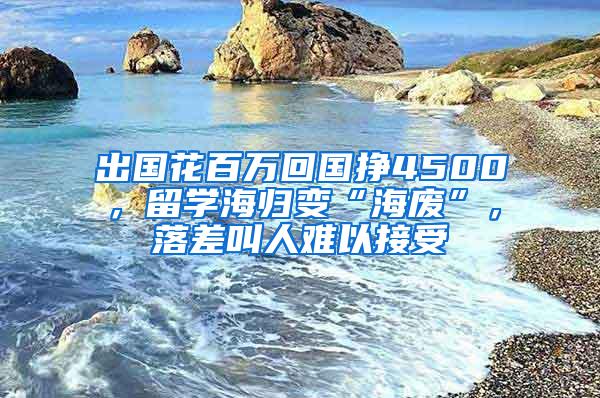 出国花百万回国挣4500，留学海归变“海废”，落差叫人难以接受
