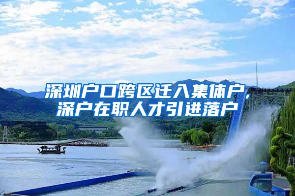深圳户口跨区迁入集体户,深户在职人才引进落户
